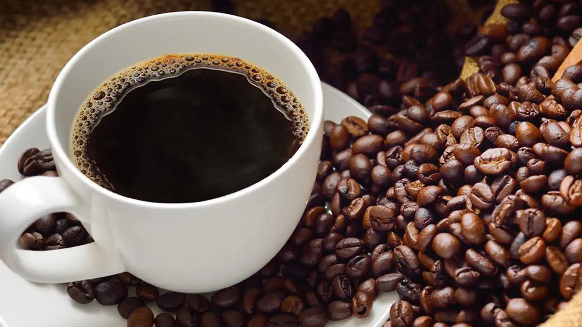 Cup of coffee with beans on the saucer.
