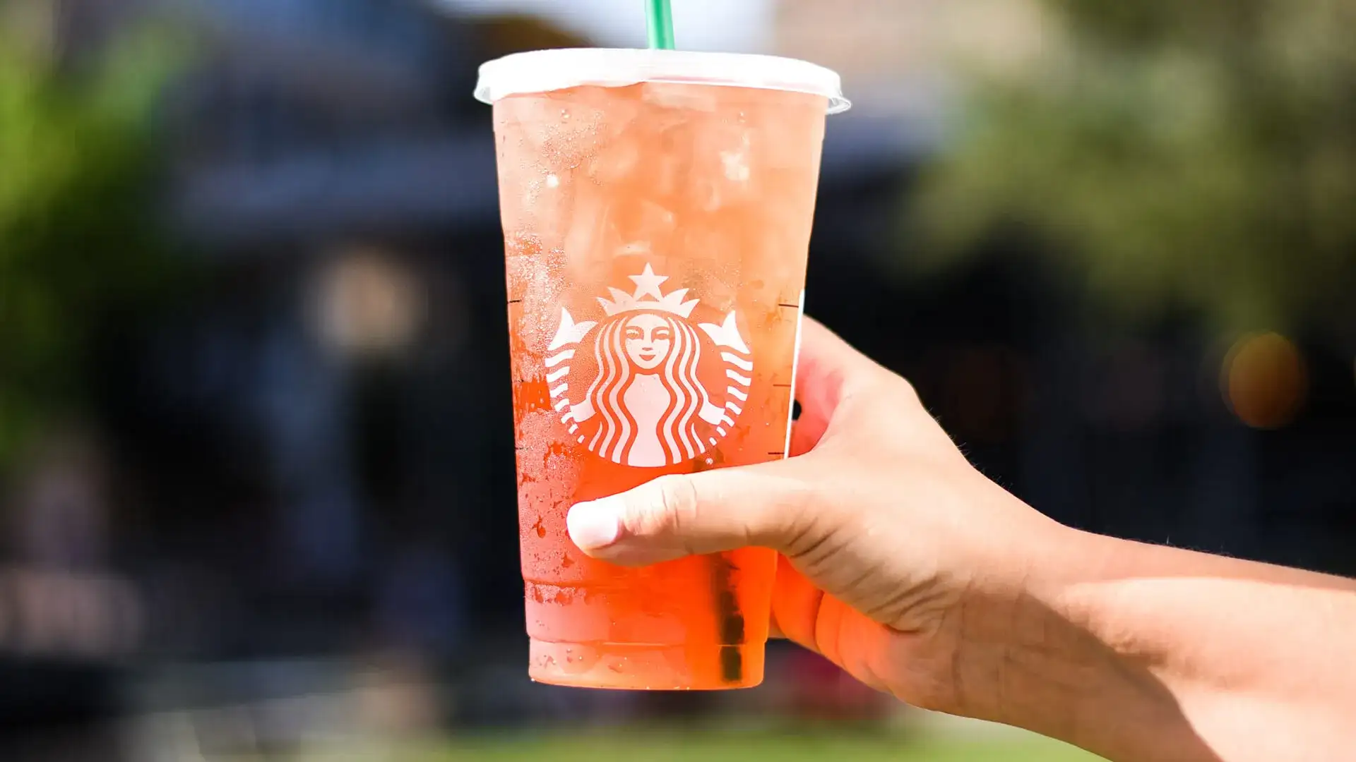 Person holding an iced Starbucks drink.