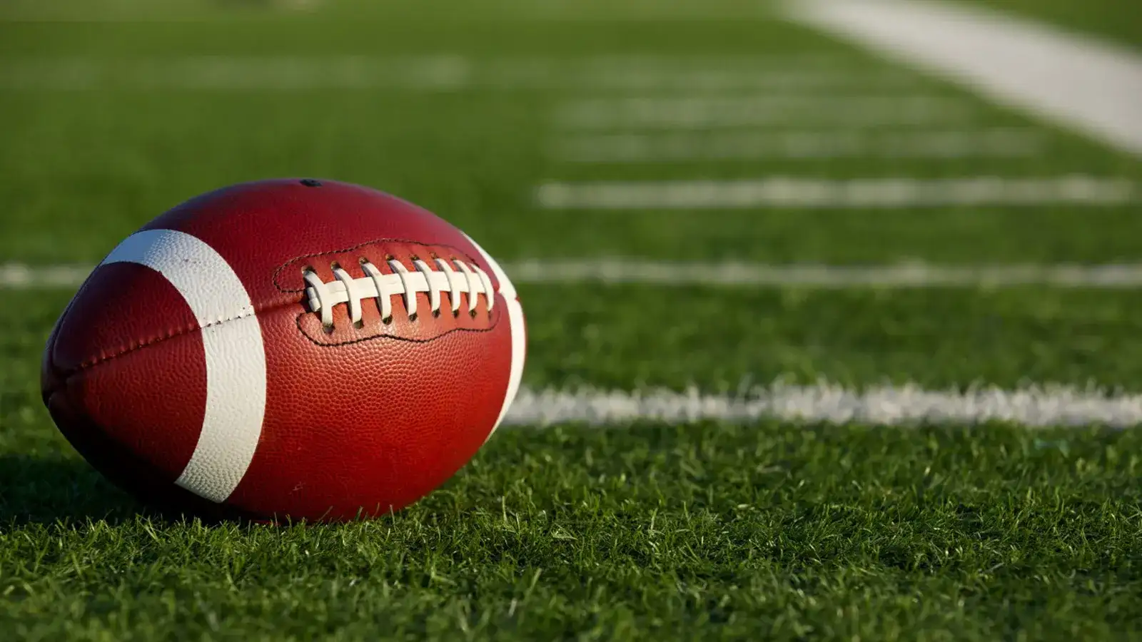football laying on the turf