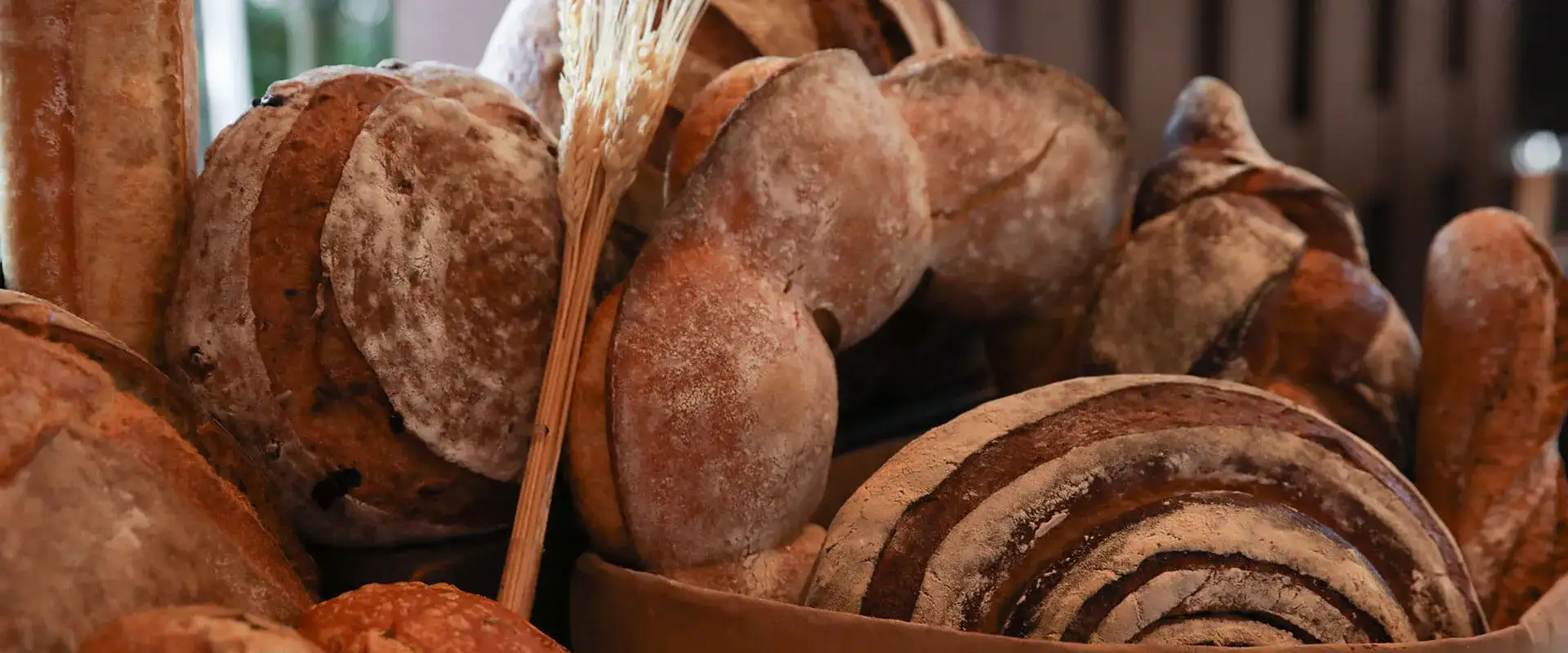 Basket of different types of fresh baked bread.