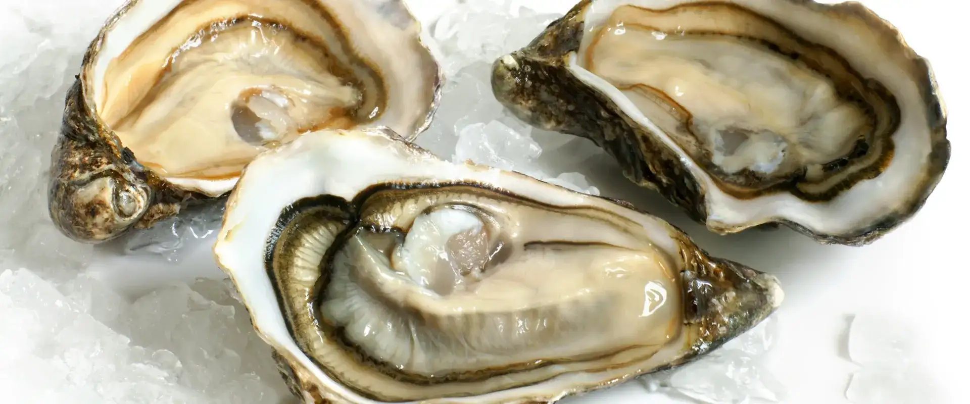 Raw oysters on the half shell.