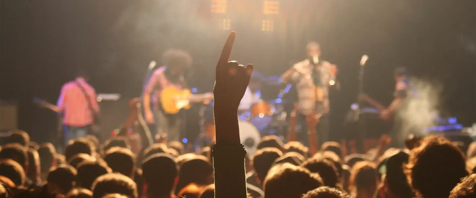 Hand in the air at a concert.