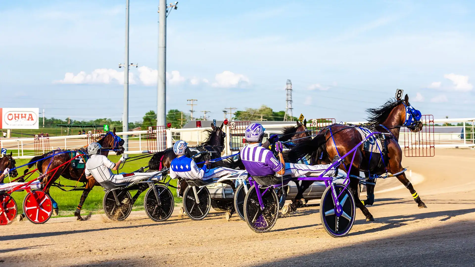Harness racers charging on the track with backs toward the camera.
