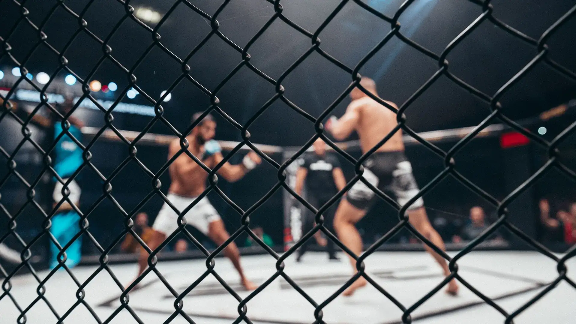 Looking through a cage at 2 shirtless fighters fighting