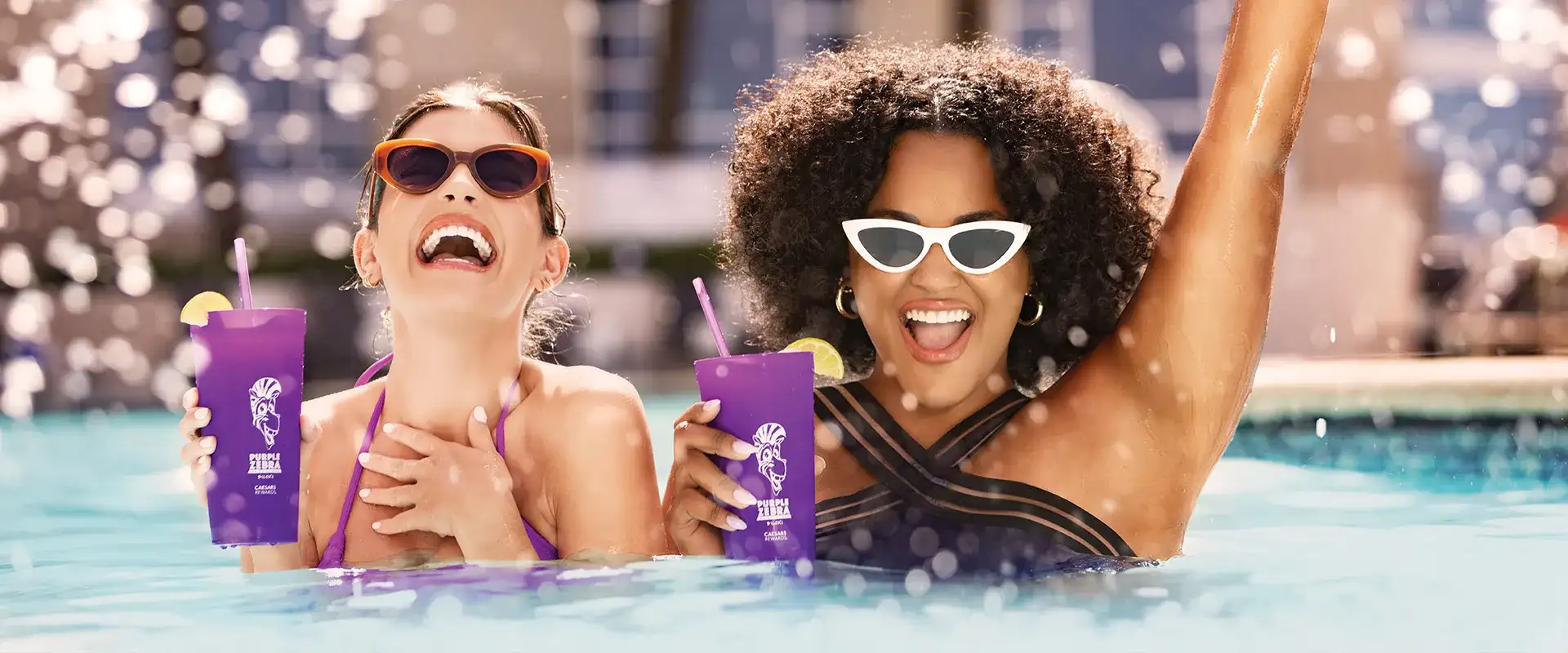 Purple Zebra - Daiquiri Bar Biloxi - Harrah's Gulf Coast