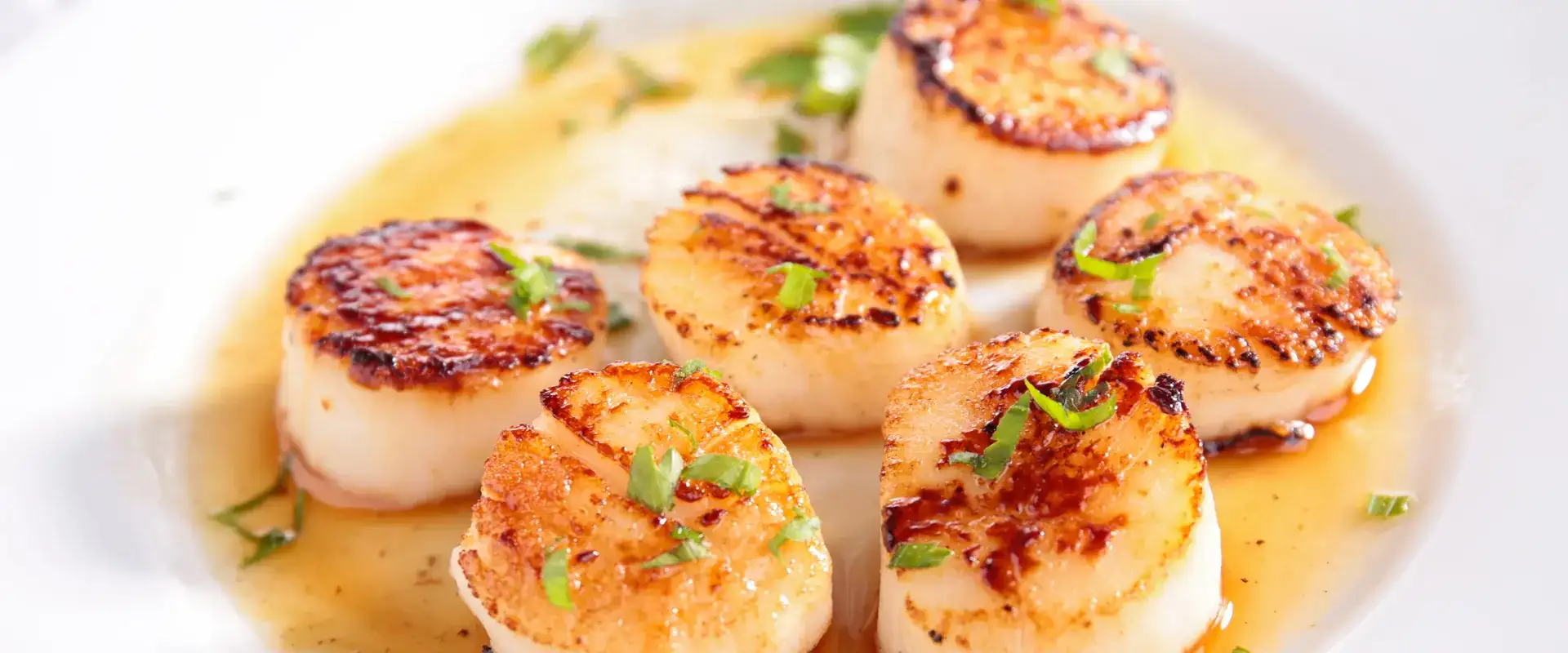 Seared scallops in butter sauce.