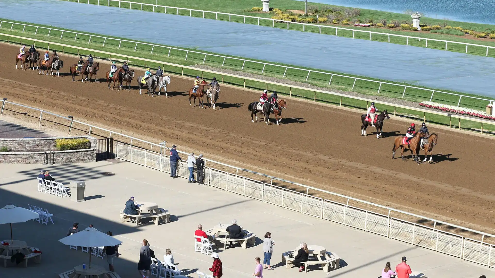 View of horses walking to the starting line on the track.