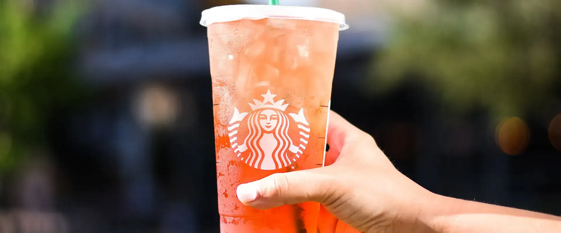 Person holding an iced Starbucks drink.