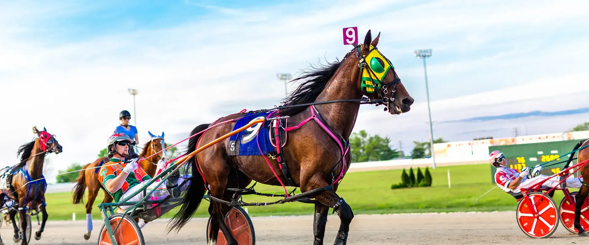 Horse number 9 trotting on the Scioto Downs track.