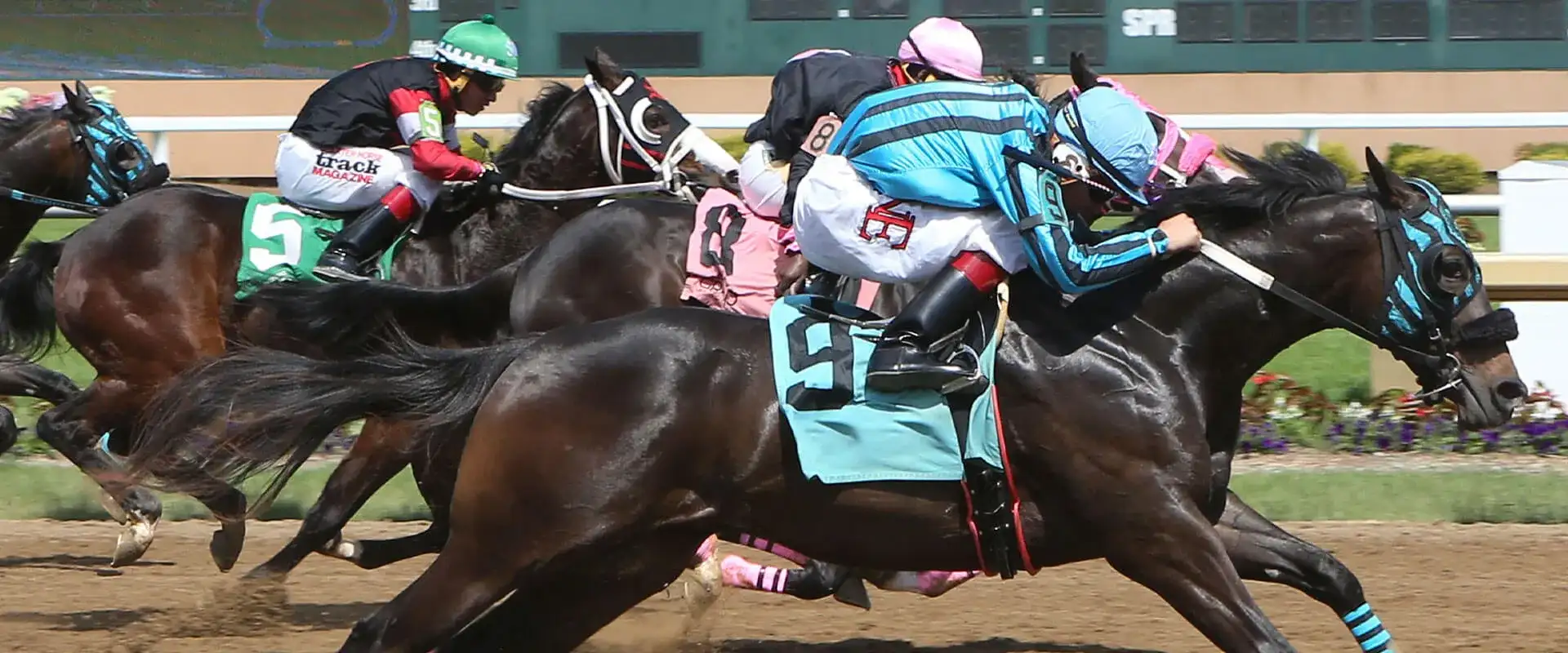 Horses racing neck and neck.